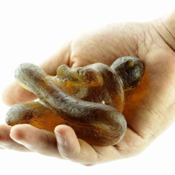 Fossilized Nini Blorong - Type A12