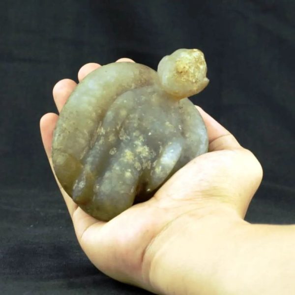 Fossilized Nini Blorong - Type B5 - Image 3
