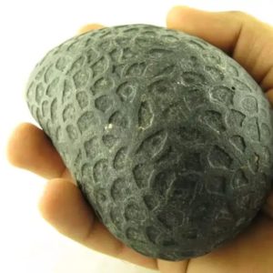 Sky Air Black Dragon Pearl - Type A1.1