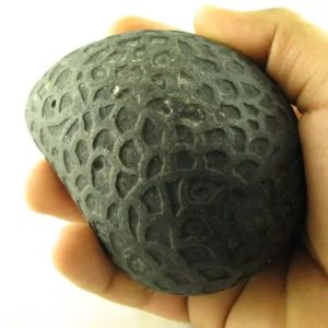 Sky Air Black Dragon Pearl - Type A1.2