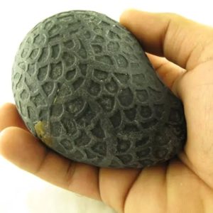 Sky Air Black Dragon Pearl - Type A1.3