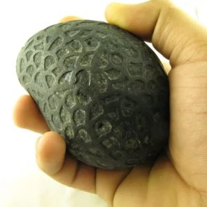 Sky Air Black Dragon Pearl - Type A1.4