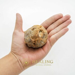 White Buffalo Pearl - Type B - Power Animal Stones, Healing Crystals, Mustika Pearls, Spiritual Crystals, Magical Stones, Ritual Crystals, Enchanted Stones, mystical, metaphysics, psychic