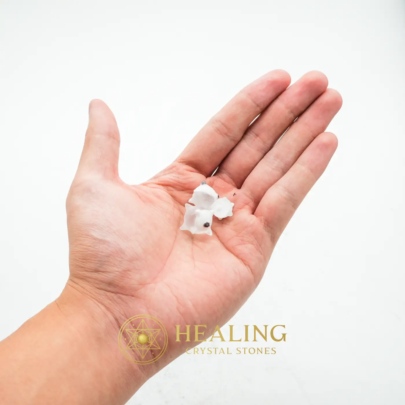 White Centipede Pearls - Type P4 - Cleansing, Purification, Protection, Warding Stone, Protective Stone, Energy Shield Crystal, Negative Energy Protection, Aura Cleansing Stone, Guardian Crystal, Guardian Stone