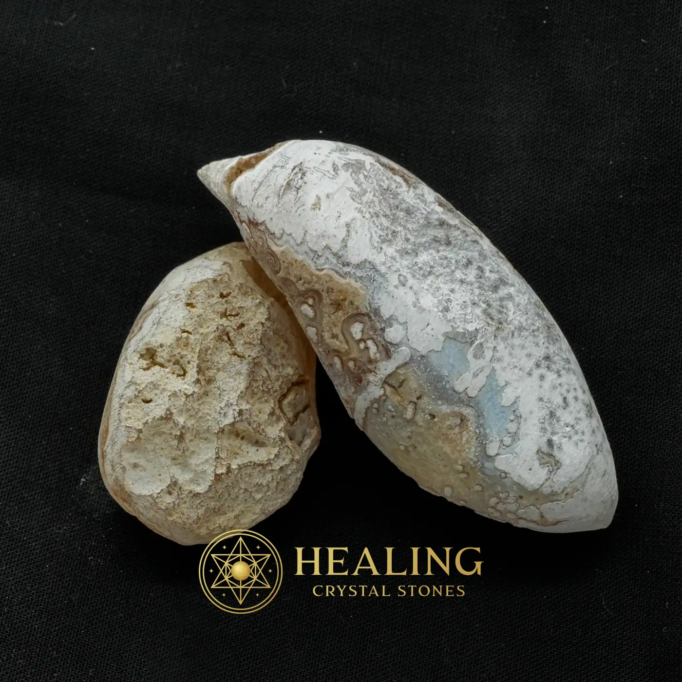 White Horse Pearl - Type D1 - Bezoar Stones, Bezoar Crystals, Healing Bezoar Stones, Healing Crystals, Spiritual Crystals, Mystical Relic, Ancient Relic, Authentic, Exotic, Rare