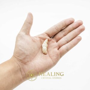 White Tiger Horns Fossil - Type A2 - Mustika Stones, Talismanic Stones, Amulet Stones, Healing Stones, Bezoar Crystals, Healing Bezoar Stones, Magical Stones, shamanic, psychic, mystical