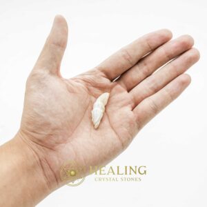 White Tiger Horns Fossil - Type A3 - Talismans Stones, Talisman Crystals, Amulet stones, Healing Crystals, Mustika Pearls, Spiritual Crystals, Bezoar Stones, spiritual, occult, metaphysics