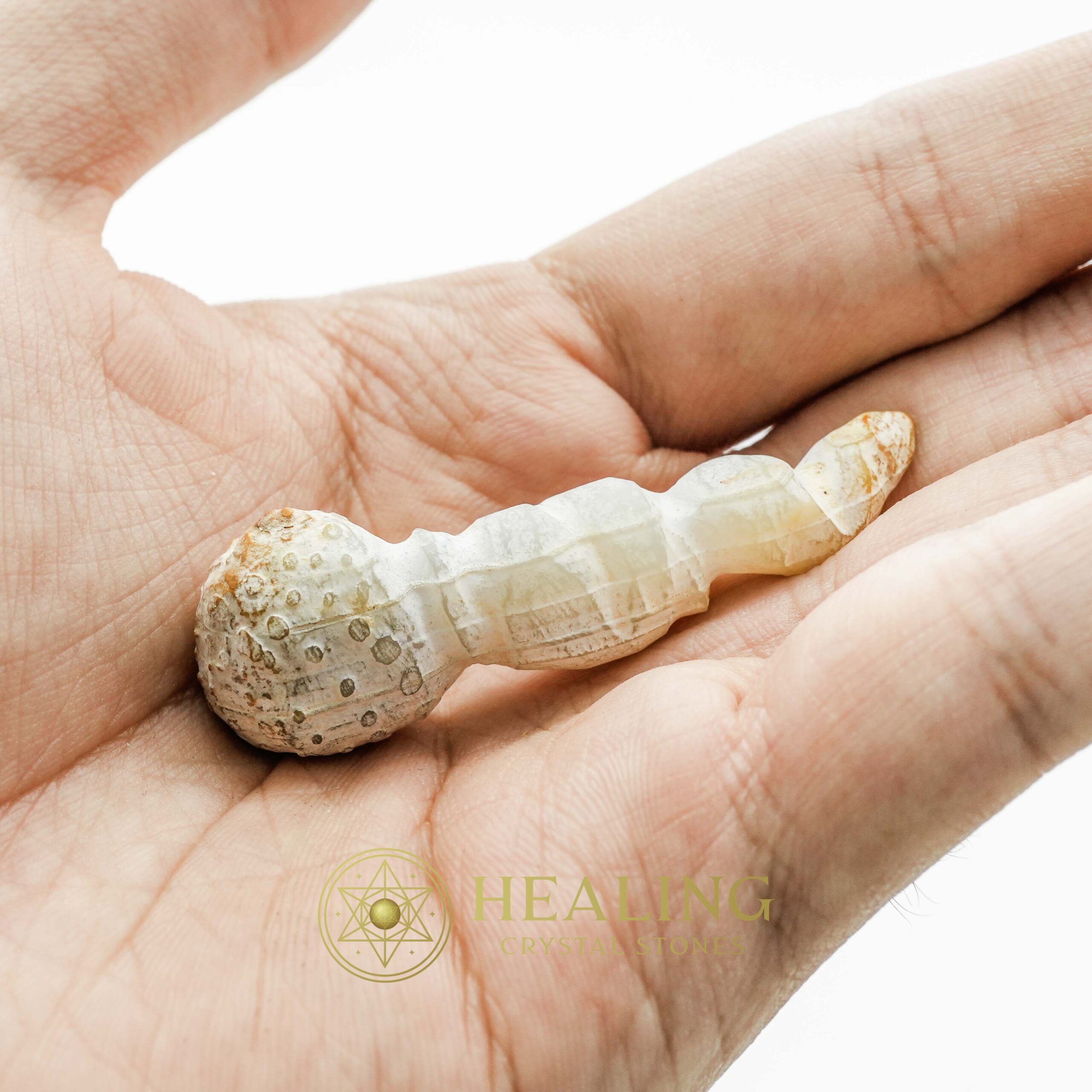 White Tiger Horns Fossil - Type B1 - Talismanic Stones, Amulet Stones, Healing Stones, Spiritual Crystals, Bezoar Stones, Bezoar Crystals, Healing Bezoar Stones, metaphysics, occult, shaman