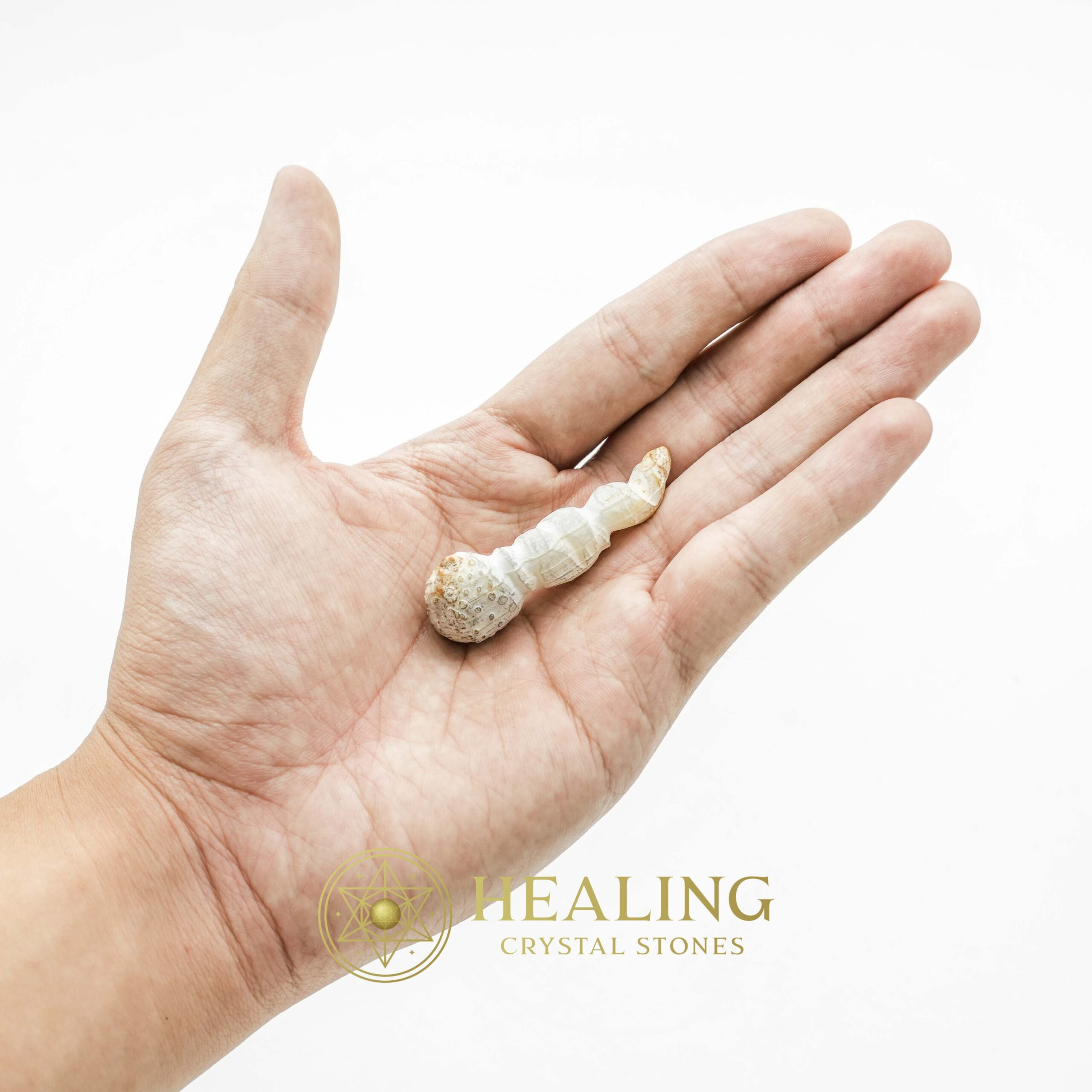 White Tiger Horns Fossil - Type B1 - Talismanic Stones, Amulet Stones, Healing Stones, Spiritual Crystals, Bezoar Stones, Bezoar Crystals, Healing Bezoar Stones, metaphysics, occult, shaman