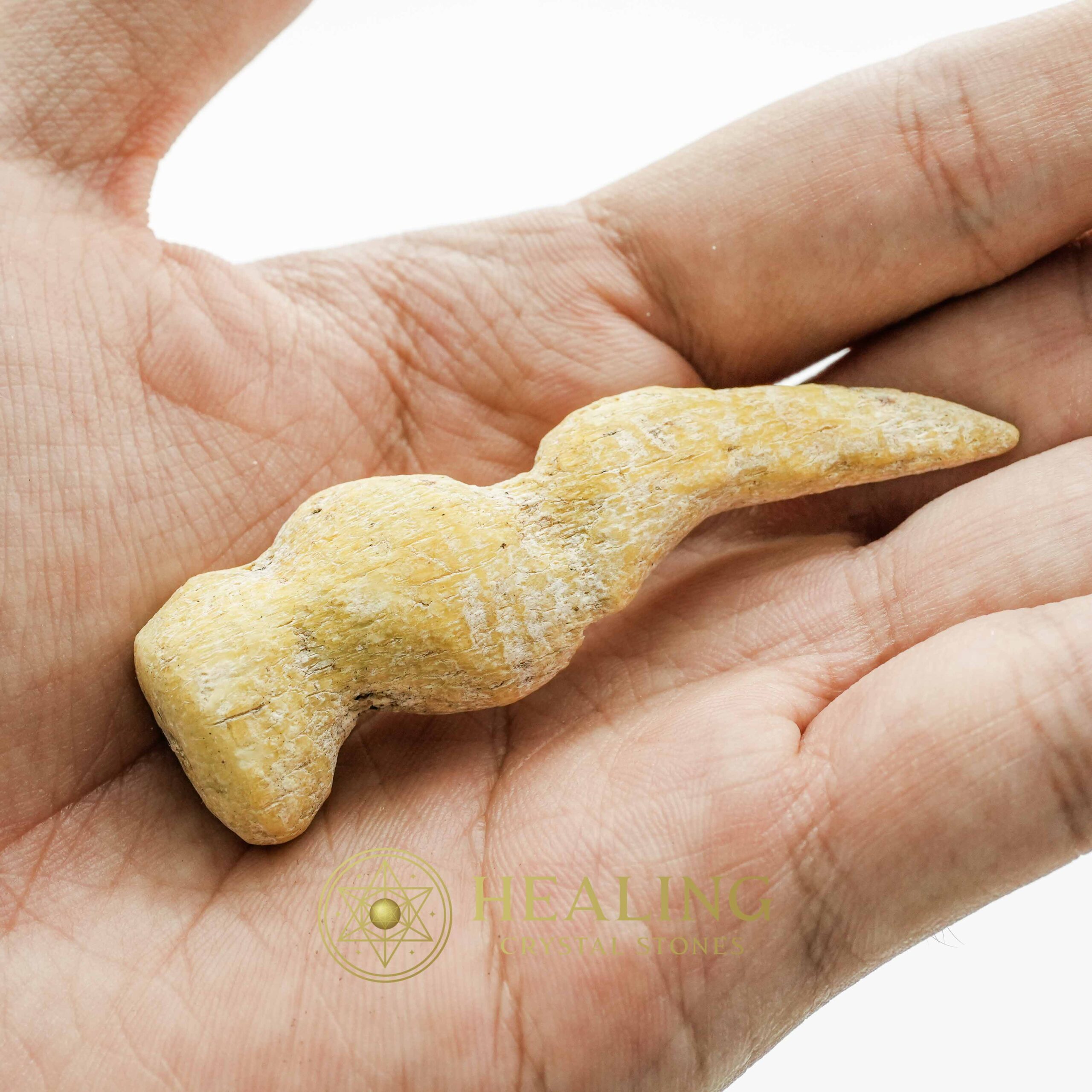 White Tiger Horns - Type C3 - Spiritual Crystals, Bezoar Stones, Bezoar Crystals, Healing Bezoar Stones, Animal Totem Stones, Magical Stones, Magickal Stones, shaman, metaphysics, occult