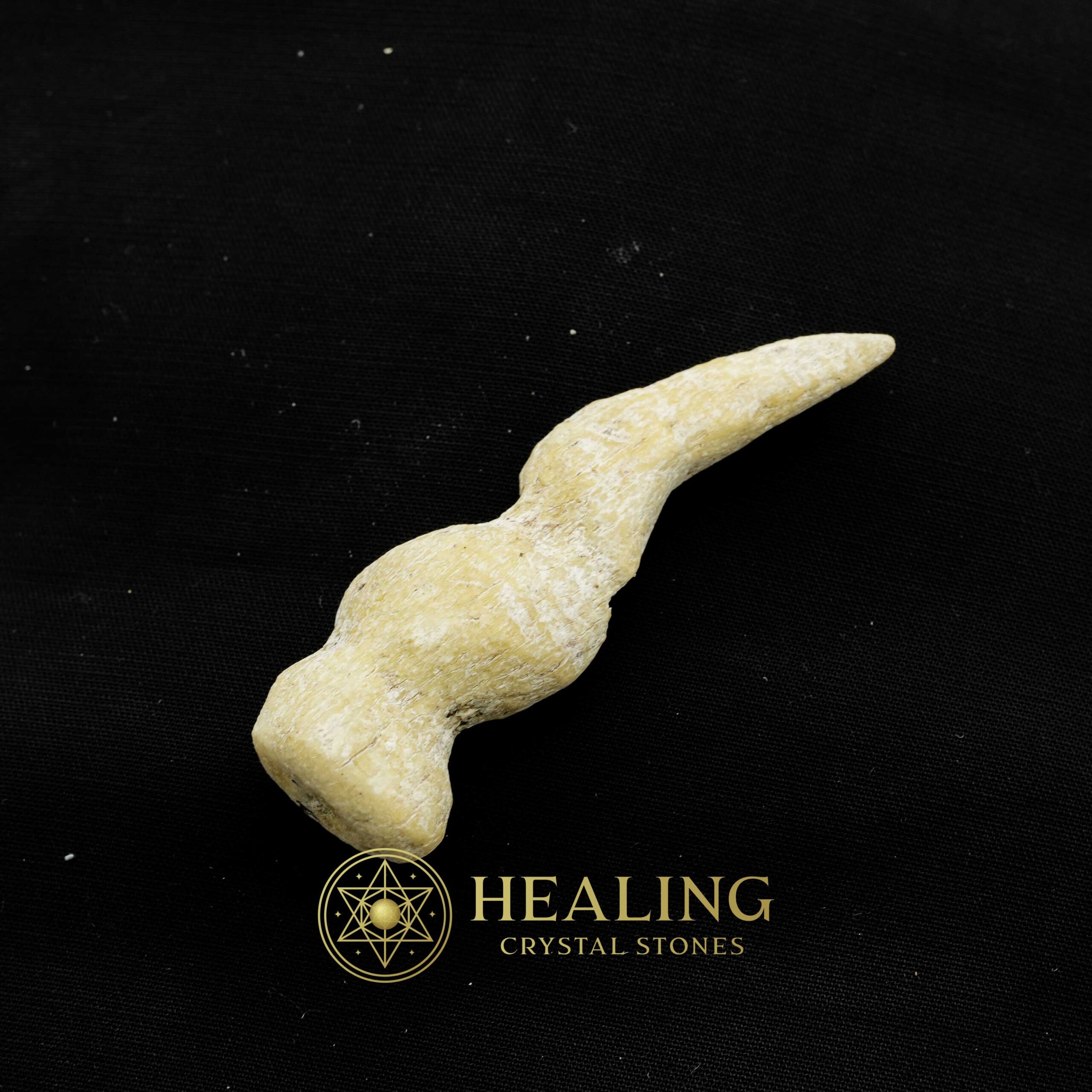 White Tiger Horns - Type C3 - Spiritual Crystals, Bezoar Stones, Bezoar Crystals, Healing Bezoar Stones, Animal Totem Stones, Magical Stones, Magickal Stones, shaman, metaphysics, occult