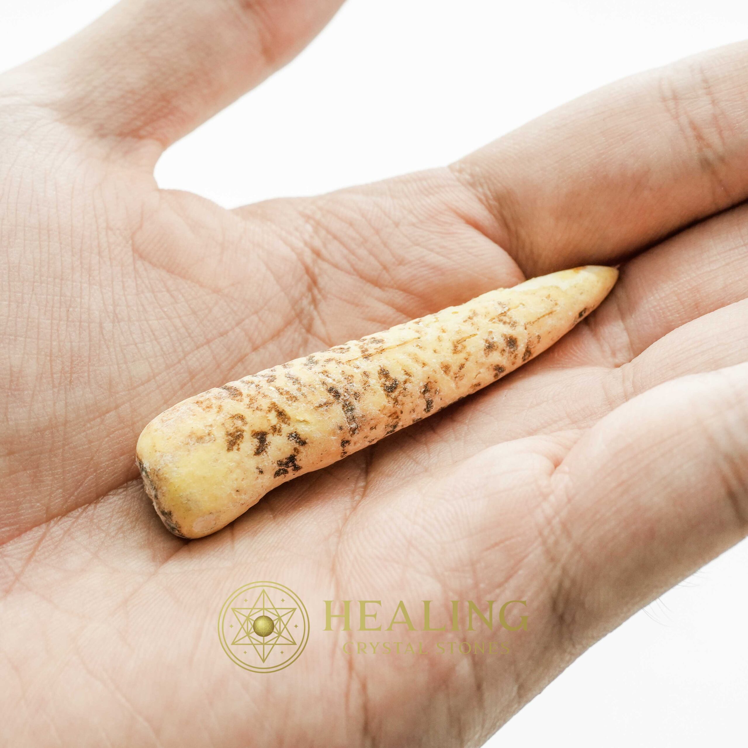 White Tiger Horns - Type D3 - Healing Crystals, Crystal Stones, Mustika Pearls, Mustika Stones, Talismanic Stones, Amulet Stones, Healing Stones, spiritual, occult, shamanic