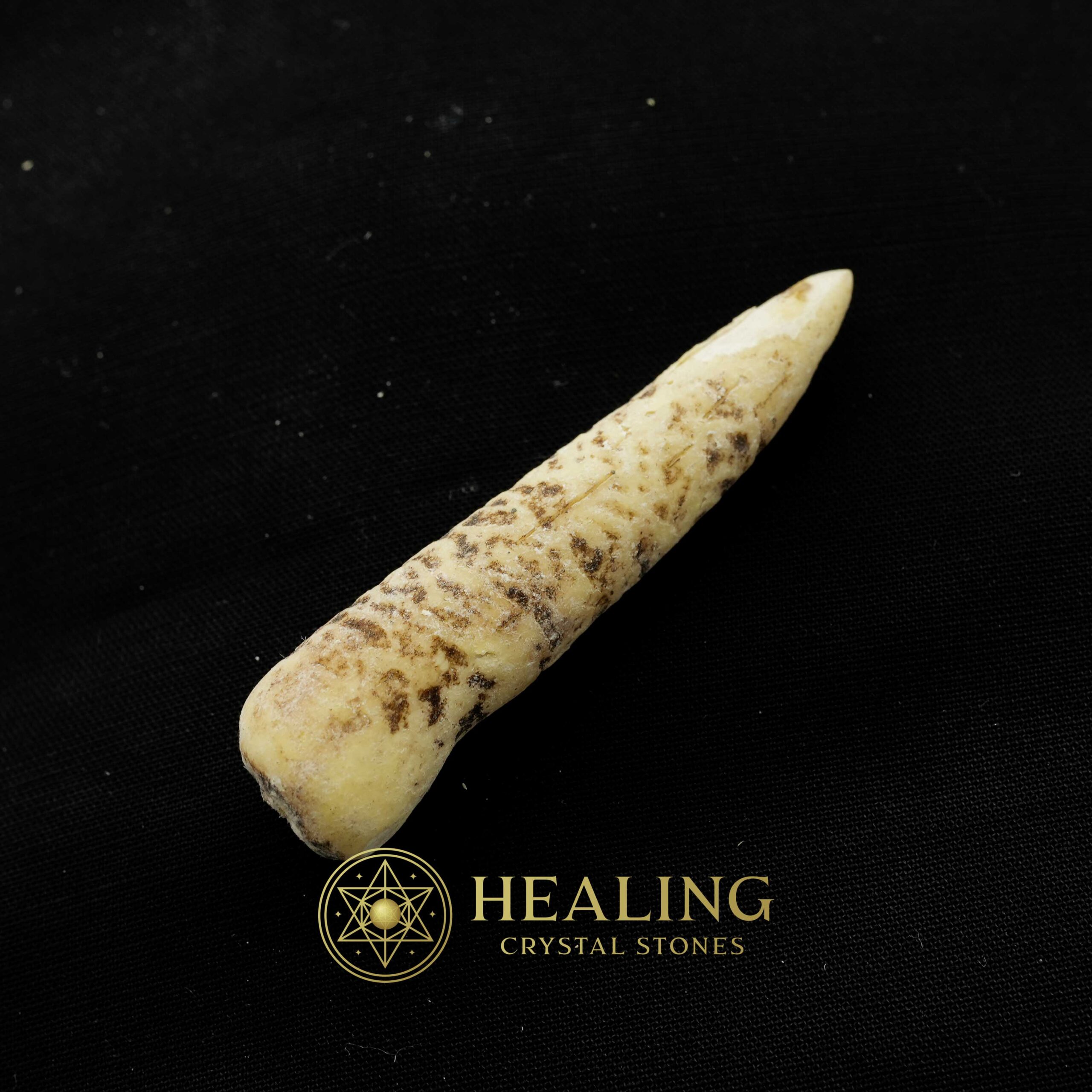 White Tiger Horns - Type D3 - Healing Crystals, Crystal Stones, Mustika Pearls, Mustika Stones, Talismanic Stones, Amulet Stones, Healing Stones, spiritual, occult, shamanic