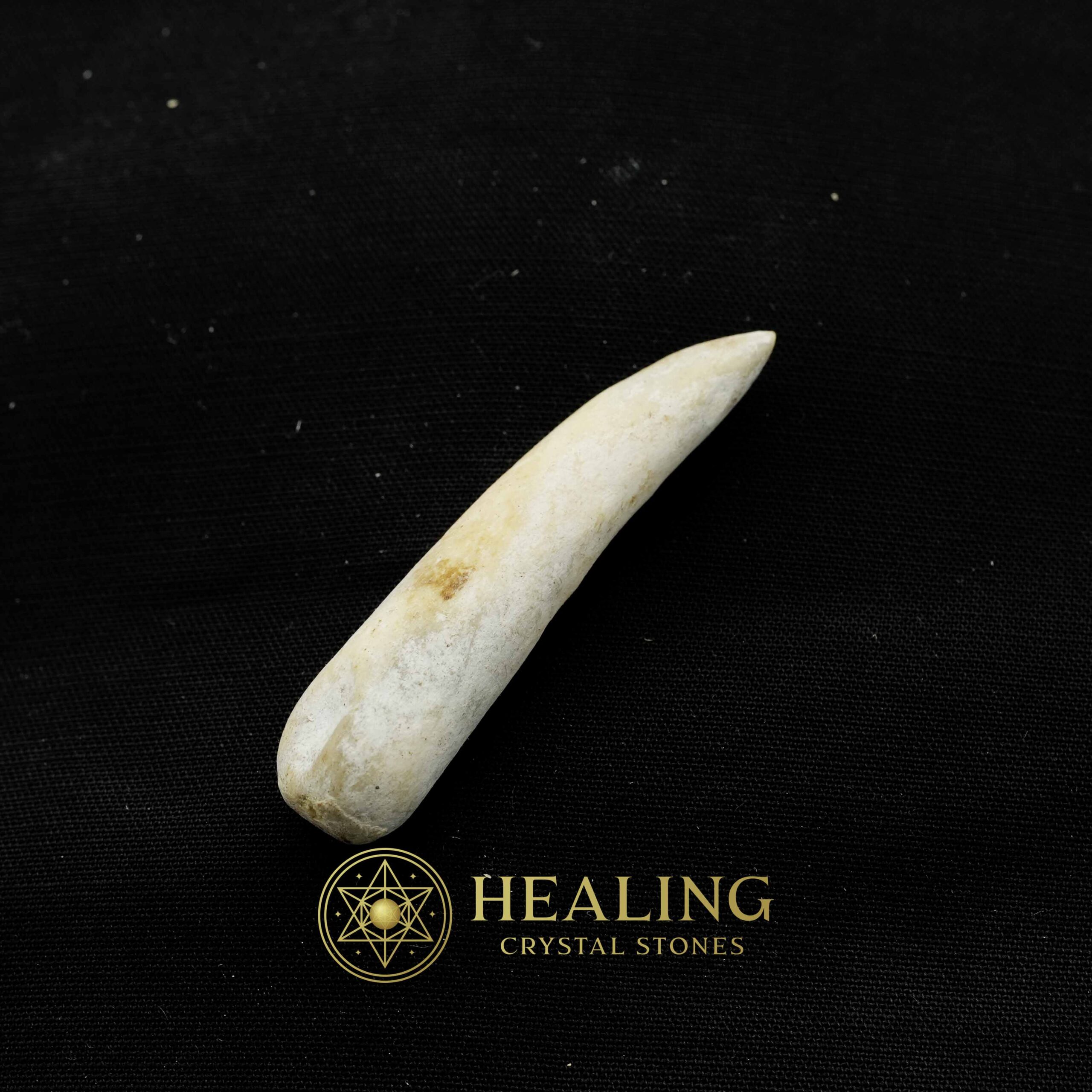 White Tiger Horns - Type D4 - Healing Crystals, Crystal Stones, Mustika Pearls, Mustika Stones, Talismanic Stones, Amulet Stones, Healing Stones, spiritual, occult, shamanic