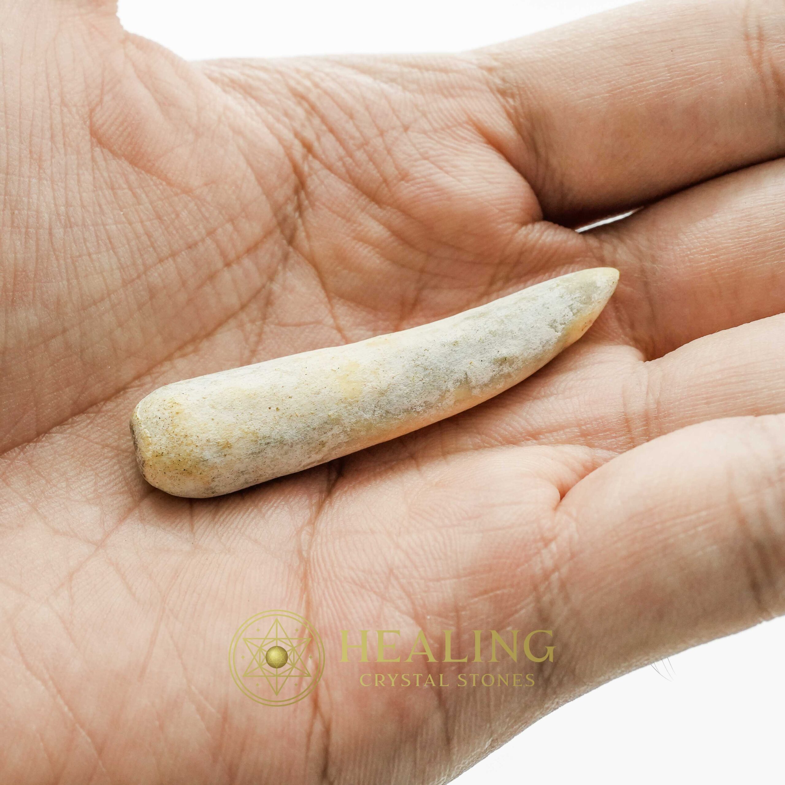 White Tiger Horns - Type D4 - Healing Crystals, Crystal Stones, Mustika Pearls, Mustika Stones, Talismanic Stones, Amulet Stones, Healing Stones, spiritual, occult, shamanic