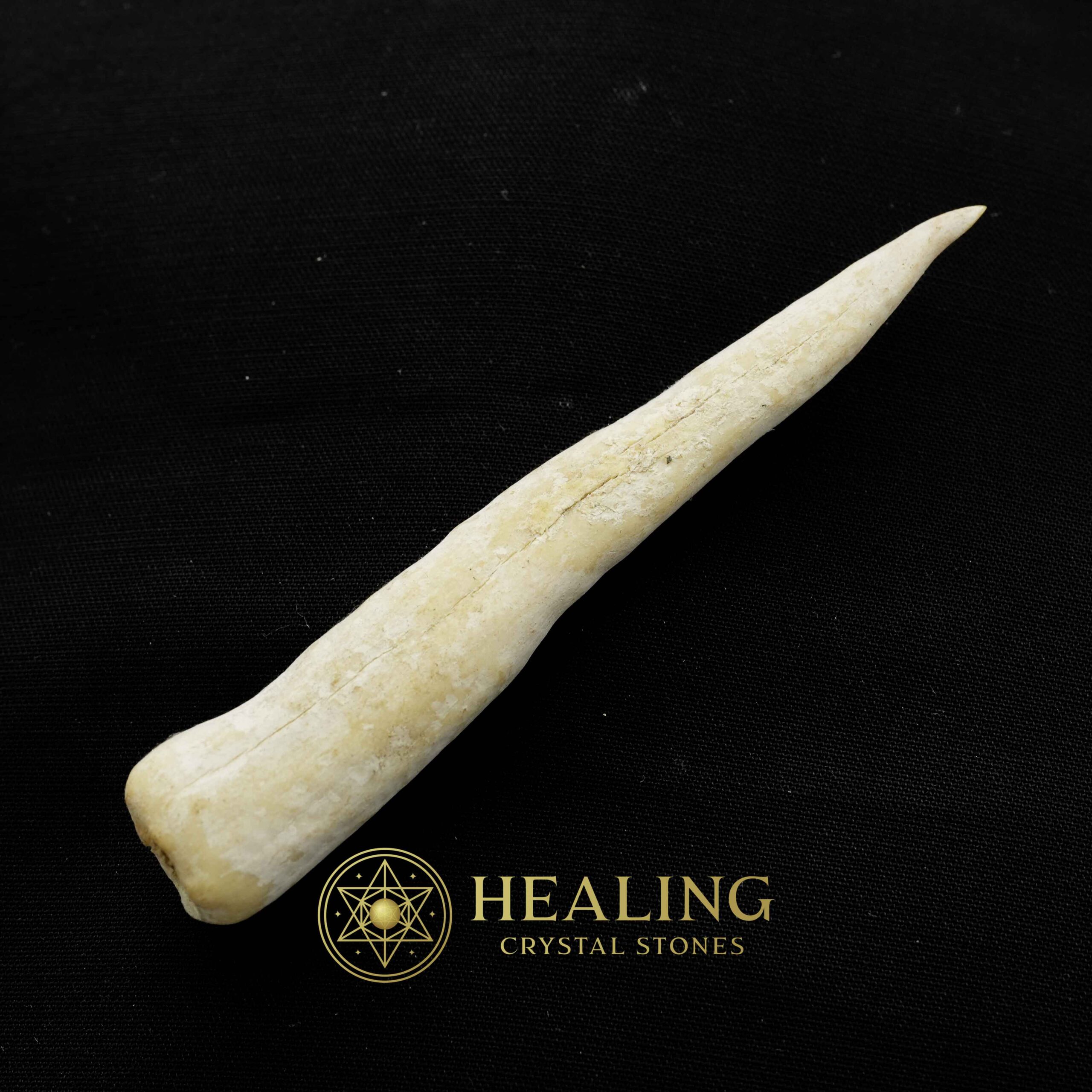 White Tiger Horns - Type F1 - Healing Crystals, Crystal Stones, Mustika Pearls, Bezoar Stones, Spiritual Crystals, Magical Stones, Ritual Power Stones, mystical, psychic, spiritual