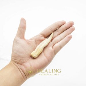 White Tiger Horns - Type F3 - Healing Bezoar Stones, Power Animal Stones, Magical Stones, Magickal Crystals, Ritual Crystals, Crystals, Talismans Stones, spiritualism, mystical, psychic