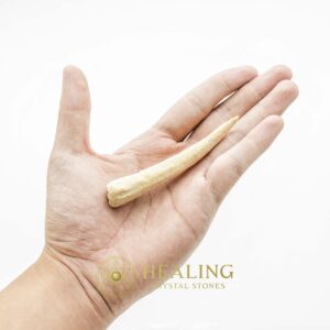 White Tiger Horns - Type G1 - Power Animal Stones, Magickal Stones, Magickal Crystals, Ritual Power Stones, Crystals, Talismans Stones, Talisman Crystals, metaphysics, occult, spiritualism