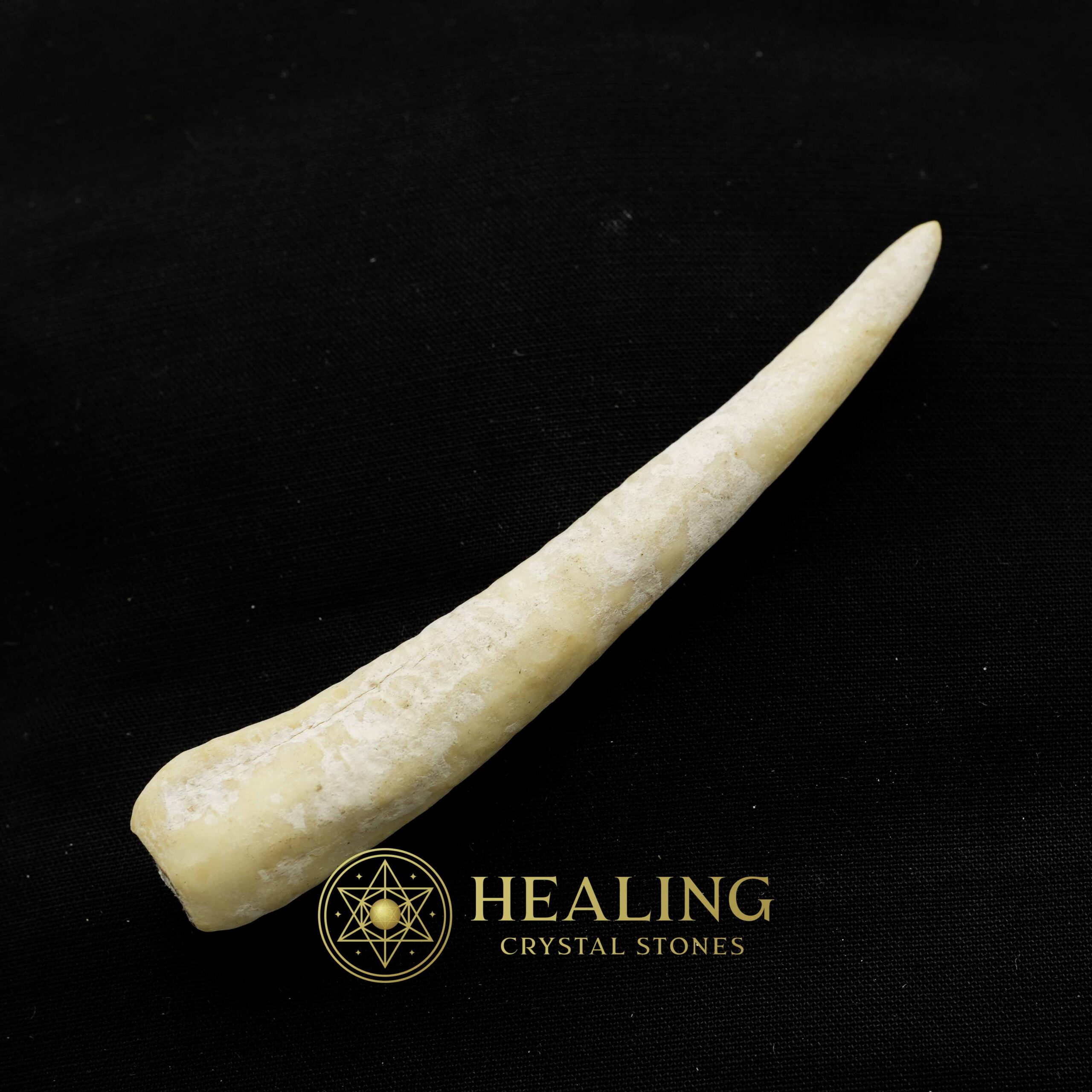 White Tiger Horns - Type G2 - Amulet stones, Healing Crystals, Crystal Stones, Mustika Pearls, Mustika Stones, Talismanic Stones, Spiritual Crystals, shaman, mystical, psychic
