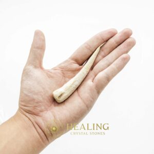 White Tiger Horns - Type G3 - Bezoar Stones, Bezoar Crystals, Healing Bezoar Stones, Animal Totem Stones, Power Animal Stones, Magical Stones, Magickal Stones, spiritual, occult, metaphysics