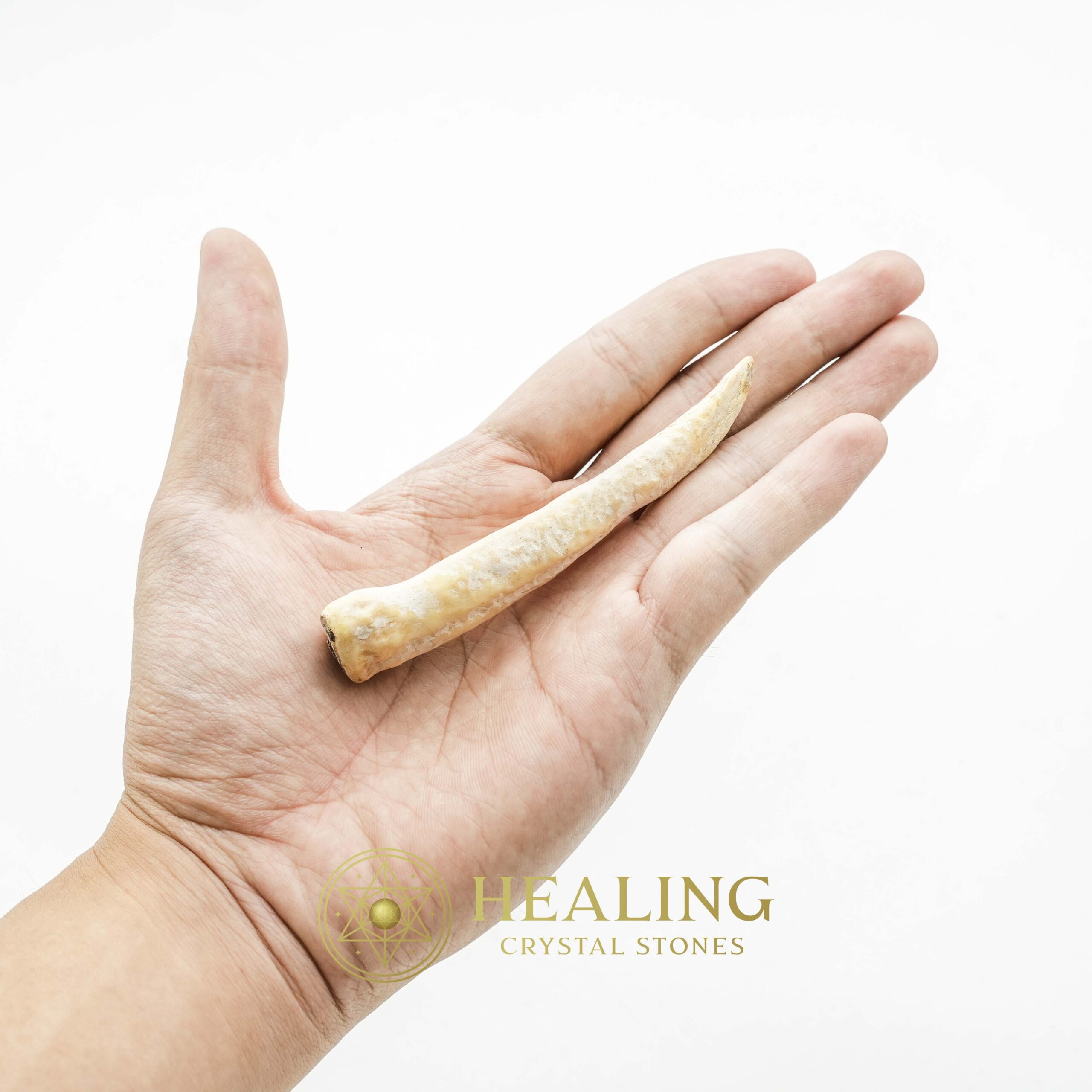 White Tiger Horns - Type G4 - Ritual Power Stones, Ritual Crystals, Crystals, Talismans Stones, Talisman Crystals, Amulet stones, Healing Crystals, spiritualism, mystical, shamanic