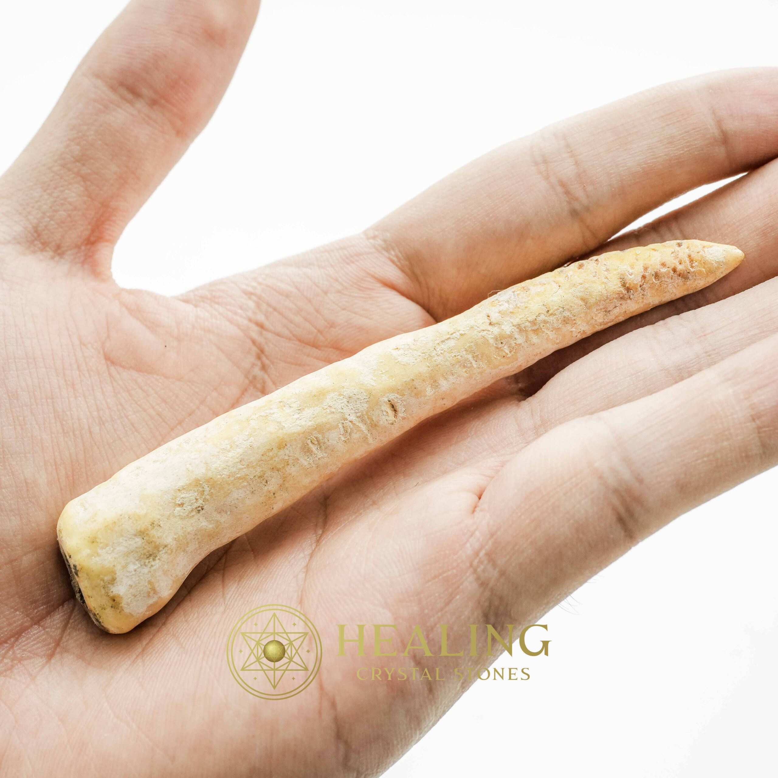 White Tiger Horns - Type G4 - Ritual Power Stones, Ritual Crystals, Crystals, Talismans Stones, Talisman Crystals, Amulet stones, Healing Crystals, spiritualism, mystical, shamanic