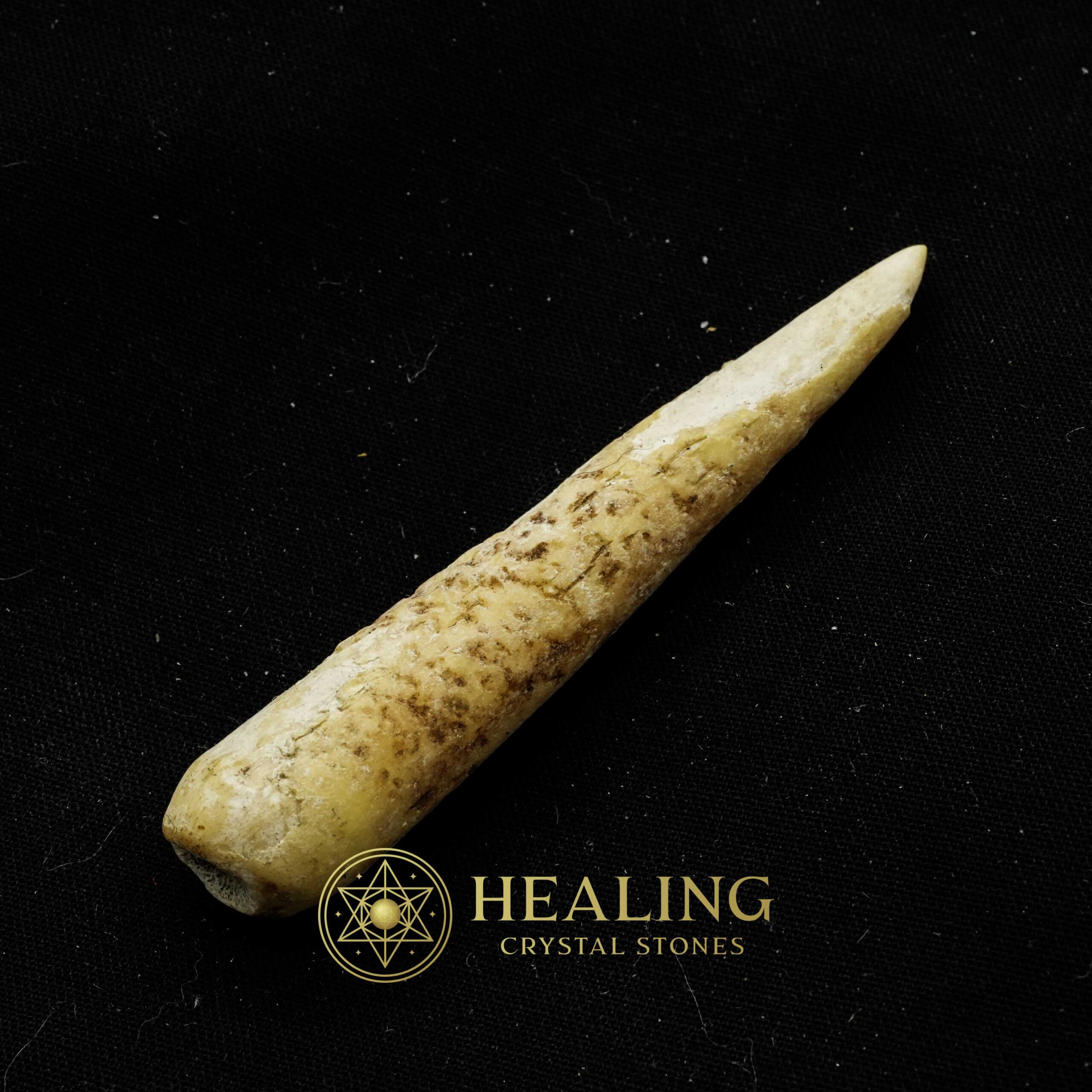 White Tiger horns - Type E1 - Bezoar Crystals, Healing Bezoar Stones, Spiritual Crystals, Crystal Stones, Energy Stones, Ritual Crystals, Magical Crystals, Mystical, Occult, Spiritual