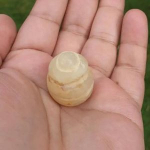 Deer Pearl - Type F1