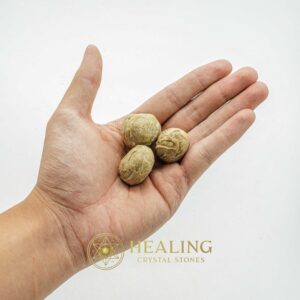 Anteater Pearls - Type D - Power Animal Stones, Healing Crystals, Ritual Power Stones, Amulet Stones, Crystal Stones, Talismans Stones, Enchanted Stones, shaman, magical, artifact