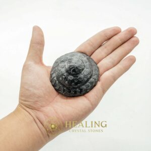 Black Dragon Crown - Type A5 (Crystal) - Talismanic Stones, Healing Stones, Mustika Pearls, Sacred Stones, Energy Stones, Magical Stones, Amulet Stones, spiritual, psychic, artifact