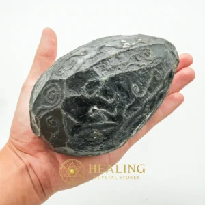Black Sea Dragon Pearl - Type L1 - Bezoar Stones, Healing Bezoar Stones, Spiritual Crystals, Healing Stones, Sacred Stones, Talisman Crystals, Ritual Power Stones, psychic, occult, artifact