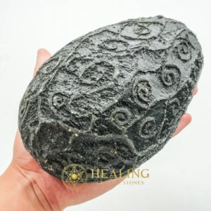 Black Sea Dragon Pearl - Type L3 - Animal Totem Stones, Power Animal Stones, Healing Stones, Spiritual Crystals, Sacred Crystals, Energy Stones, Ritual Crystals, shamanic, mystical, rare