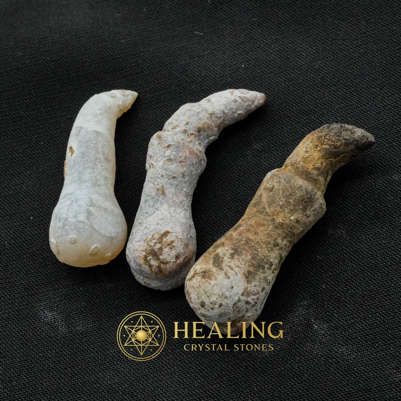 Centipede Horn - Type B1 - Healing Crystals, Amulet Stones, Energy Stones, Universal Energy, Emotional Healing, Positive Energy, Sacred, Authentic, Antique, Harmony