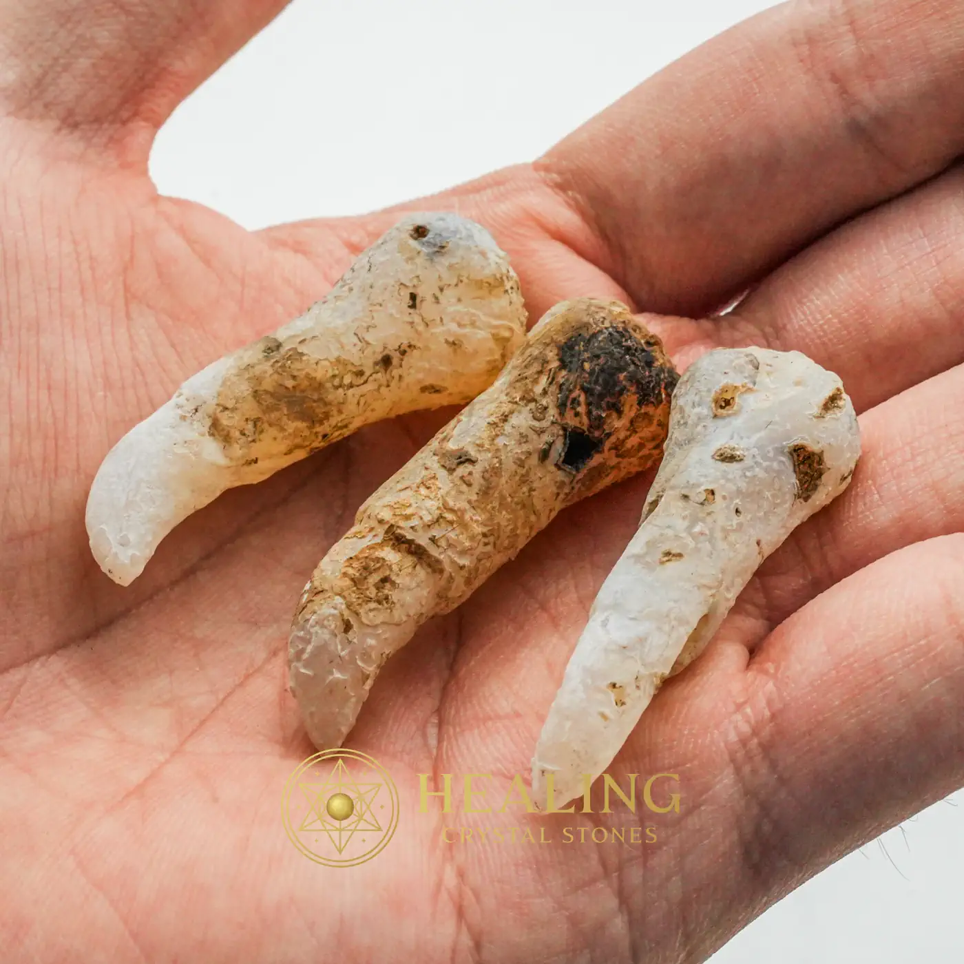 Centipede Horn - Type B2 - Bezoar Stones, Healing Stones, Spiritual Crystals, Meditation, Chakra, Positive Energy, Divine, Antique, Unique, Sacred