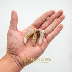 Centipede Horn - Type B2 - Healing Crystals, Crystal Stones, Mustika Pearls, Sacred Stones, Aura, Universal Energy, Protection, Harmony, Authentic, Rare