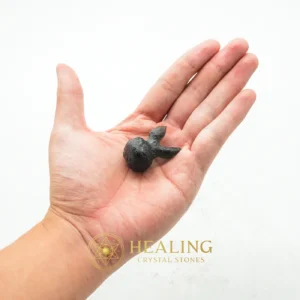 Cobra Heart Fossil - Type A3 - Metaphysics, Spiritualism, Spritual, Psychic, Occult, Esoteric Stone, Esoteric Crystal, Esoteric Artifact, Mysticism, Mystical
