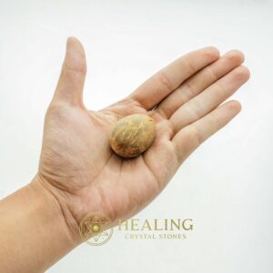 Crow Pearl - Type B - Healing Bezoar Stones, Mustika Stones, Spiritual Crystals, Magical Stones, Ritual Power Stones, Talisman Crystals, Healing Crystals, spiritual, magical, occult
