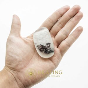 Large Dew Pearl - Type A9 (White/Black) Magical Stones Magickal Stones Magickal Crystals Ritual Power Stones Ritual Crystals Crystals Talismans Stones Talisman Crystals Amulet stones mystical shaman shamanic spiritual spiritualism metaphysics occult psychic