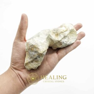 Fossilized Eel - Type A2 - Spiritual Crystals Bezoar Stones Bezoar Crystals Healing Bezoar Stones Animal Totem Stones, Power Animal Stones Magical Stones Magickal Stones Magickal Crystals Ritual Power Stones Ritual Crystals mystical shaman shamanic spiritual spiritualism metaphysics occult psychic