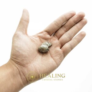 Dragon Horn Fossils (Siluman) - Type E1 - Spiritual Crystals Bezoar Stones Bezoar Crystals Healing Bezoar Stones Animal Totem Stones, Power Animal Stones Magical Stones Magickal Stones Magickal Crystals Ritual Power Stones Ritual Crystals mystical shaman shamanic spiritual spiritualism metaphysics occult psychic