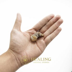 Dragon Horn Fossils (Siluman) - Type E2 - Spiritual Crystals Bezoar Stones Bezoar Crystals Healing Bezoar Stones Animal Totem Stones, Power Animal Stones Magical Stones Magickal Stones Magickal Crystals Ritual Power Stones Ritual Crystals mystical shaman shamanic spiritual spiritualism metaphysics occult psychic