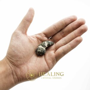 Dragon Horn Fossils (Siluman) - Type E3 - Spiritual Crystals Bezoar Stones Bezoar Crystals Healing Bezoar Stones Animal Totem Stones, Power Animal Stones Magical Stones Magickal Stones Magickal Crystals Ritual Power Stones Ritual Crystals mystical shaman shamanic spiritual spiritualism metaphysics occult psychic