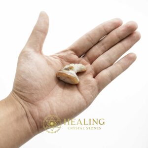 Dragon Horn Fossils (Siluman) - Type E5 - Spiritual Crystals Bezoar Stones Bezoar Crystals Healing Bezoar Stones Animal Totem Stones, Power Animal Stones Magical Stones Magickal Stones Magickal Crystals Ritual Power Stones Ritual Crystals mystical shaman shamanic spiritual spiritualism metaphysics occult psychic