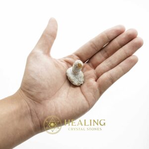 Dragon Horn Fossils (Siluman) - Type E6 - Spiritual Crystals Bezoar Stones Bezoar Crystals Healing Bezoar Stones Animal Totem Stones, Power Animal Stones Magical Stones Magickal Stones Magickal Crystals Ritual Power Stones Ritual Crystals mystical shaman shamanic spiritual spiritualism metaphysics occult psychic