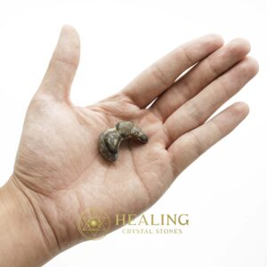 Dragon Horn Fossils (Siluman) - Type E7 - Spiritual Crystals Bezoar Stones Bezoar Crystals Healing Bezoar Stones Animal Totem Stones, Power Animal Stones Magical Stones Magickal Stones Magickal Crystals Ritual Power Stones Ritual Crystals mystical shaman shamanic spiritual spiritualism metaphysics occult psychic