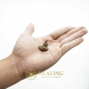 Dragon Horn Fossils (Siluman) - Type E8 - Spiritual Crystals Bezoar Stones Bezoar Crystals Healing Bezoar Stones Animal Totem Stones, Power Animal Stones Magical Stones Magickal Stones Magickal Crystals Ritual Power Stones Ritual Crystals mystical shaman shamanic spiritual spiritualism metaphysics occult psychic