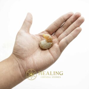 Dragon Horn Fossils (Siluman) - Type E10 - Spiritual Crystals Bezoar Stones Bezoar Crystals Healing Bezoar Stones Animal Totem Stones, Power Animal Stones Magical Stones Magickal Stones Magickal Crystals Ritual Power Stones Ritual Crystals mystical shaman shamanic spiritual spiritualism metaphysics occult psychic