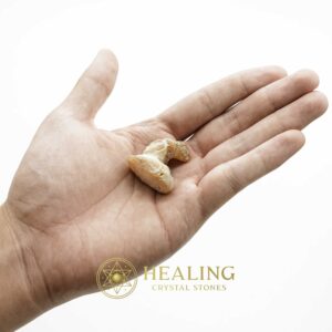 Dragon Horn Fossils (Siluman) - Type F1 - Spiritual Crystals Bezoar Stones Bezoar Crystals Healing Bezoar Stones Animal Totem Stones, Power Animal Stones Magical Stones Magickal Stones Magickal Crystals Ritual Power Stones Ritual Crystals mystical shaman shamanic spiritual spiritualism metaphysics occult psychic