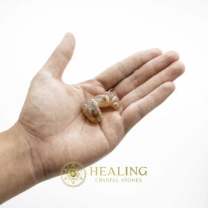 Dragon Horn Fossils (Siluman) - Type F3 - Spiritual Crystals Bezoar Stones Bezoar Crystals Healing Bezoar Stones Animal Totem Stones, Power Animal Stones Magical Stones Magickal Stones Magickal Crystals Ritual Power Stones Ritual Crystals mystical shaman shamanic spiritual spiritualism metaphysics occult psychic