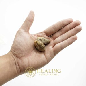 Dragon Horn Fossils (Siluman) - Type F4 - Spiritual Crystals Bezoar Stones Bezoar Crystals Healing Bezoar Stones Animal Totem Stones, Power Animal Stones Magical Stones Magickal Stones Magickal Crystals Ritual Power Stones Ritual Crystals mystical shaman shamanic spiritual spiritualism metaphysics occult psychic